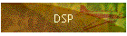 DSP